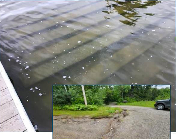 Image depicting small-scale conservation projects supporting MN-Fish initiatives.