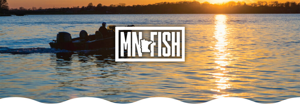 A boat on a lake at sunrise. The MN-Fish logo is in the foreground.