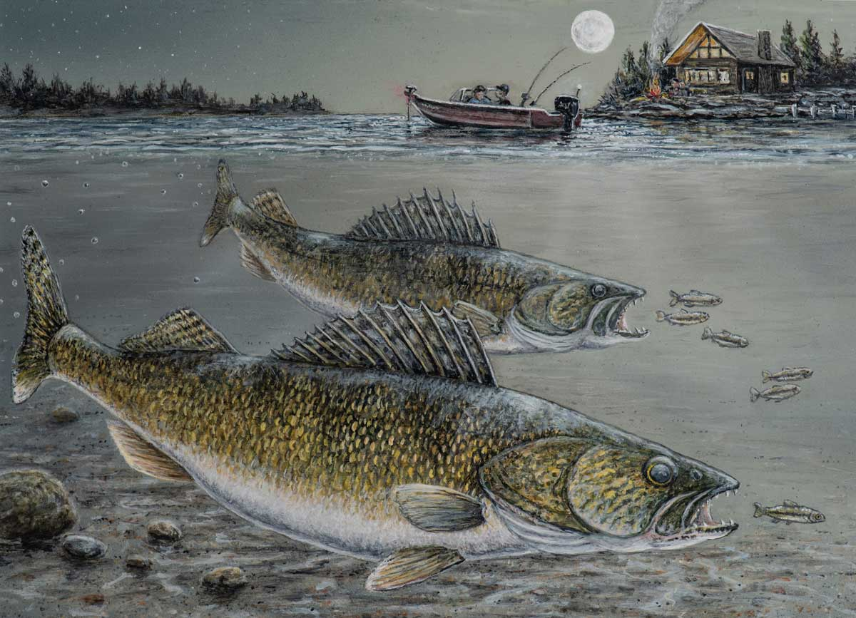 walleye opener 2026