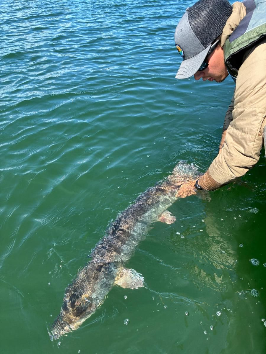 Musky4